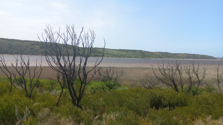 0 Bedroom Property for Sale in Infanta Western Cape